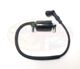 Ignition Coil  with 90 Deg Plastic Cap